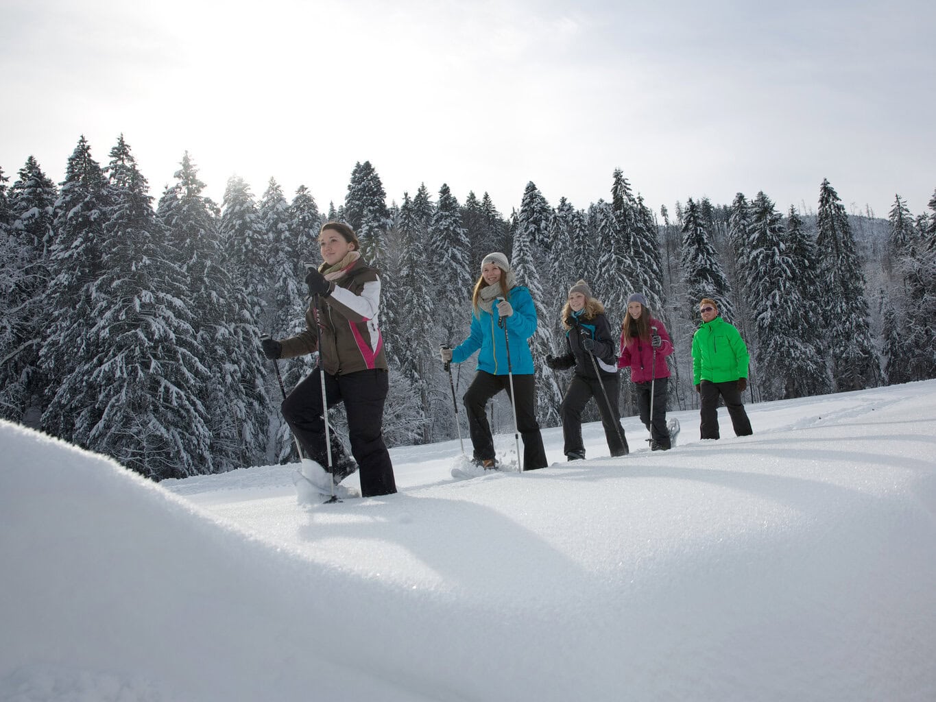 Vrienden wandelen met sneeuwschoenen door een glinsterend winterbos, waar frisse lucht en stilte samen het pure Sneeuwplezier Zwarte Woud vormen.