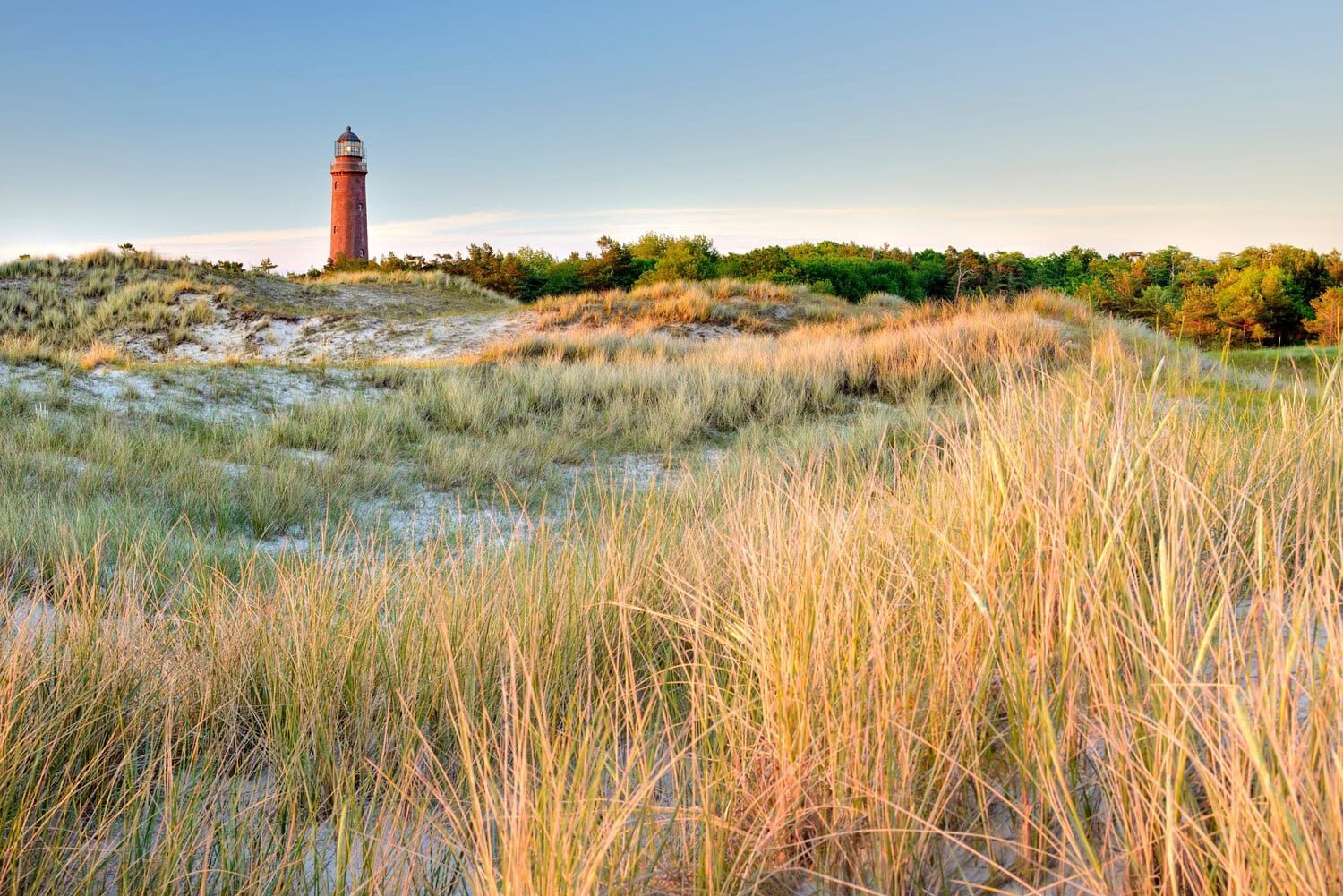 De vuurtoren van Darßer Ort bij Prerow boven het duinlandschap aan de Oostzee