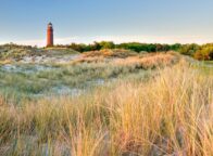 De vuurtoren van Darßer Ort bij Prerow boven het duinlandschap aan de Oostzee
