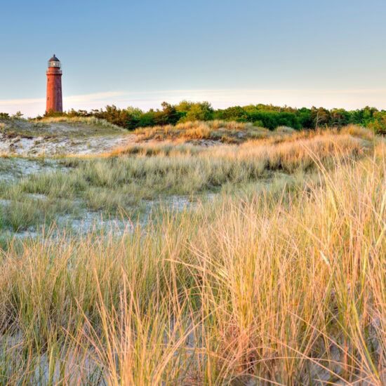 De vuurtoren van Darßer Ort bij Prerow boven het duinlandschap aan de Oostzee