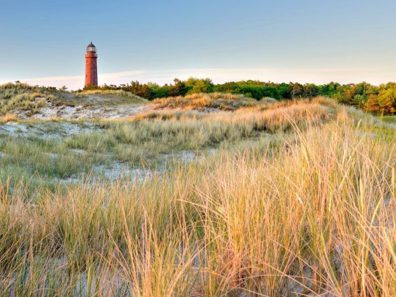 De vuurtoren van Darßer Ort bij Prerow boven het duinlandschap aan de Oostzee