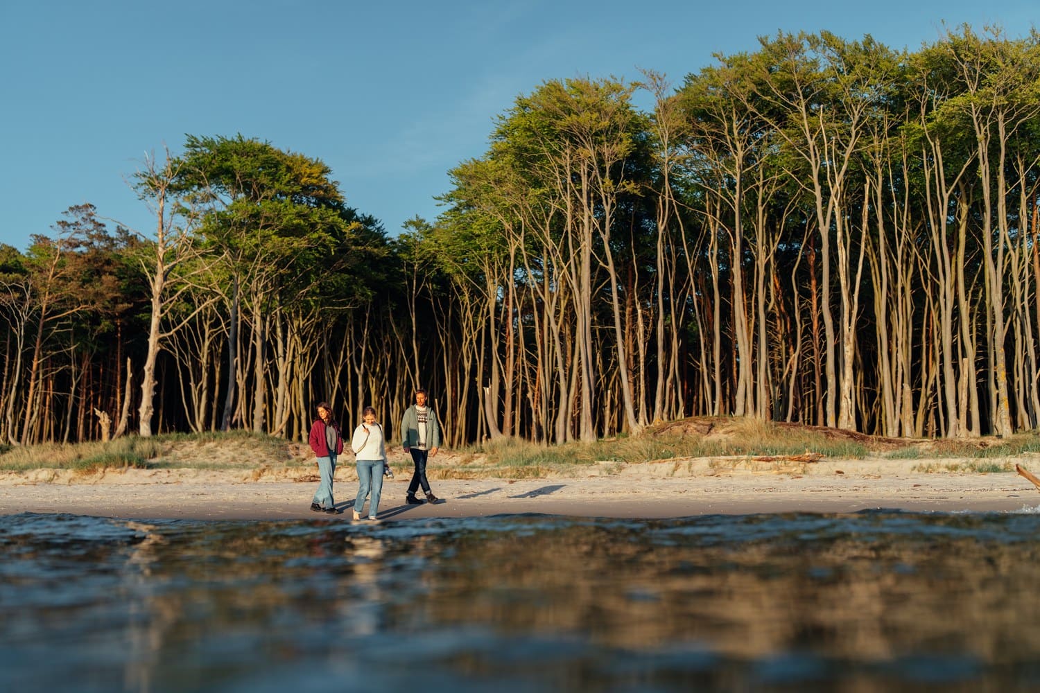 Wandelaars op het Weststrand van de Darß voor de hoge bomen aan de kust