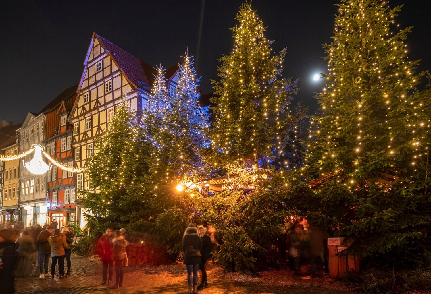 Verlichte dennenbomen van het Wunschbrunnenwald voor vakwerkhuizen op de Holzmarkt in Hannover, met bezoekers in het avondlicht