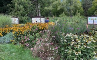 Kleurrijke biologische tuin vol zomerse bloemenpracht, waar borden met uitleg en stille natuurmomenten de groene rijkdom van Saarland Rijnland-Palts laten zien.