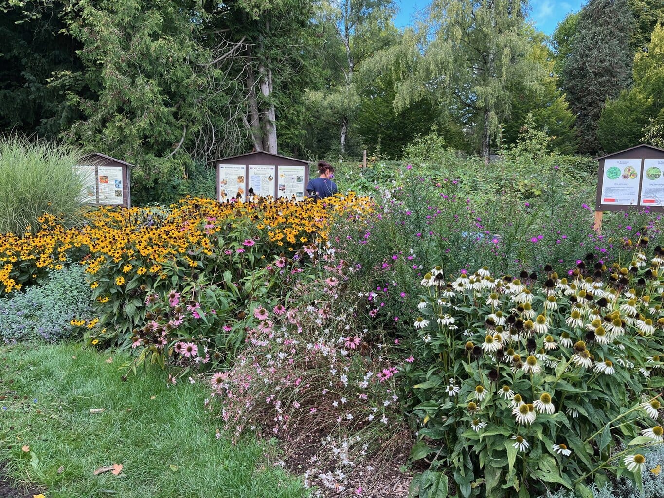 Kleurrijke biologische tuin vol zomerse bloemenpracht, waar borden met uitleg en stille natuurmomenten de groene rijkdom van Saarland Rijnland-Palts laten zien.
