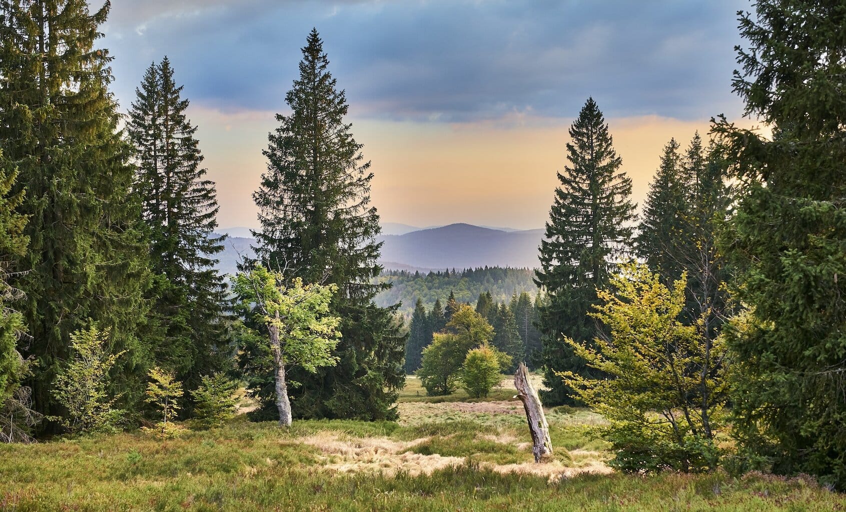 Lindberger Schachten in de herfst