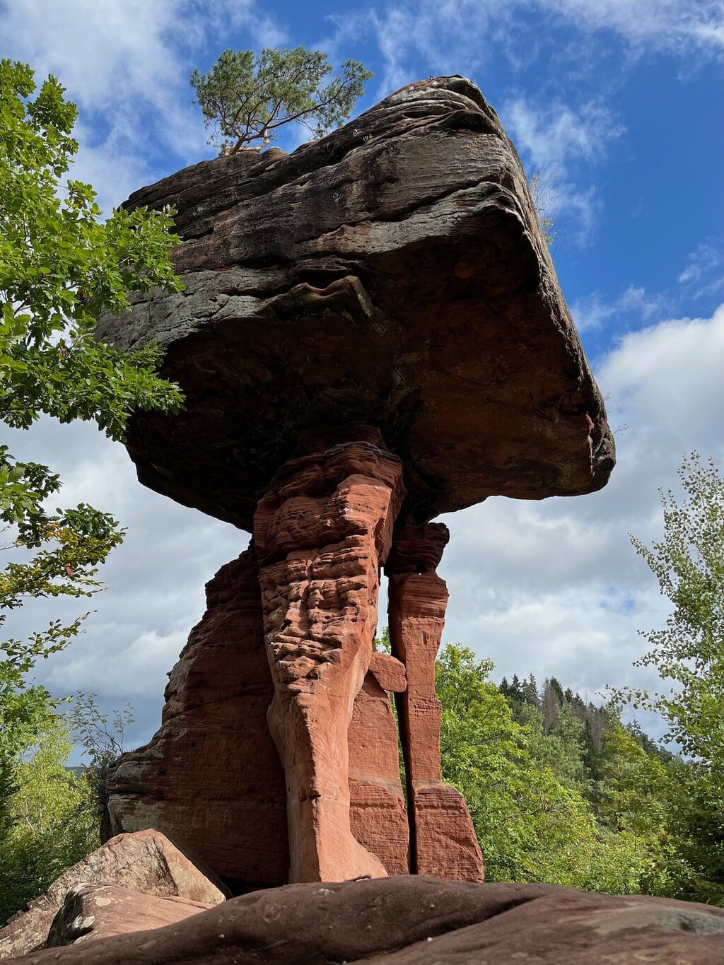 Majestueuze Teufelstisch van rood zandsteen, die als natuurlijke sculptuur boven het bos uittorent en het ruige landschap van Saarland Rijnland-Palts een mythische sfeer geeft.