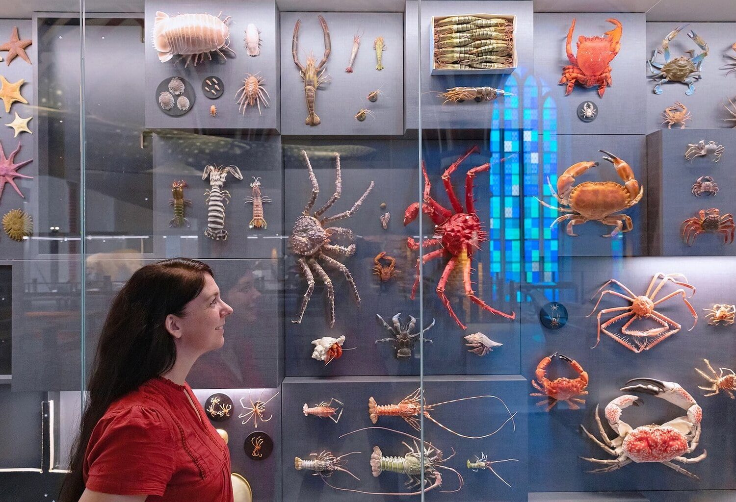 Biodiversiteitmuur in de Deutsche Meeresmuseum