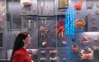 Biodiversiteitmuur in de Deutsche Meeresmuseum