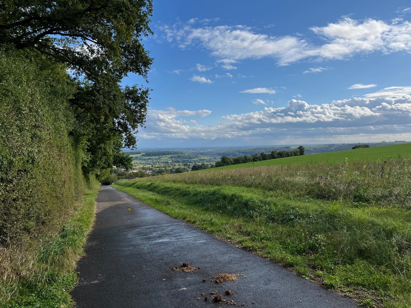 wandelen in de Pfalz