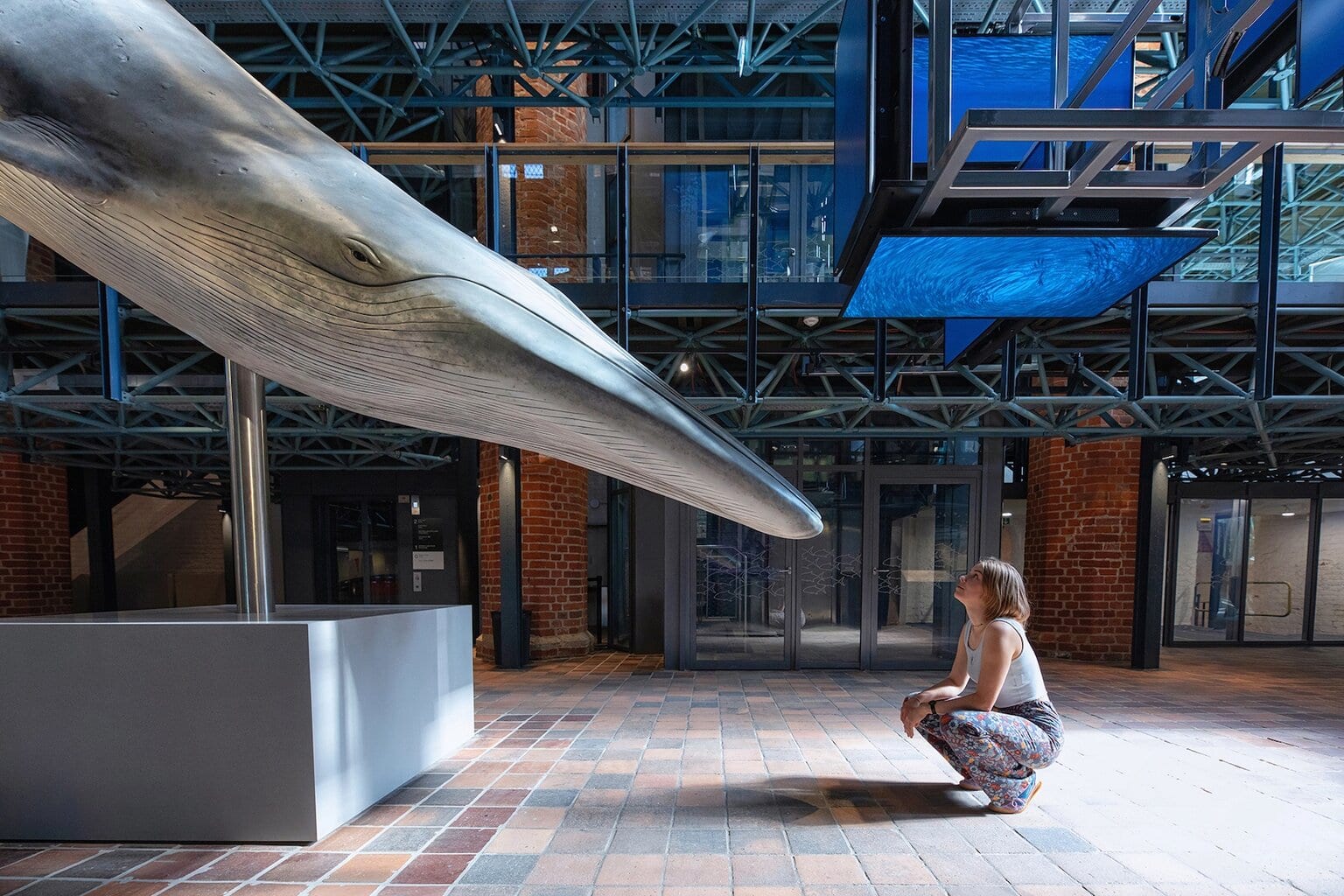 Brydevinvis standbeeld in het Deutsche Meeresmuseum