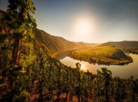 Moselschleife van de Calmont aan de Moezel