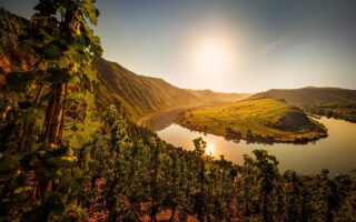 Moselschleife van de Calmont aan de Moezel