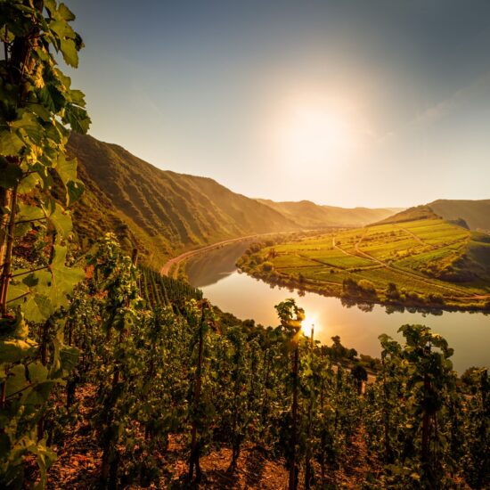 Moselschleife van de Calmont aan de Moezel