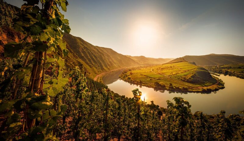 Moselschleife van de Calmont aan de Moezel