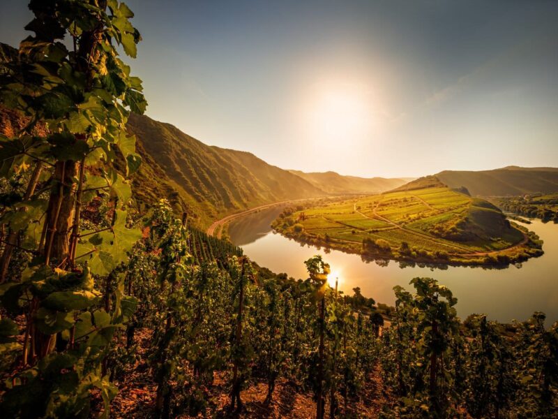 Moselschleife van de Calmont aan de Moezel