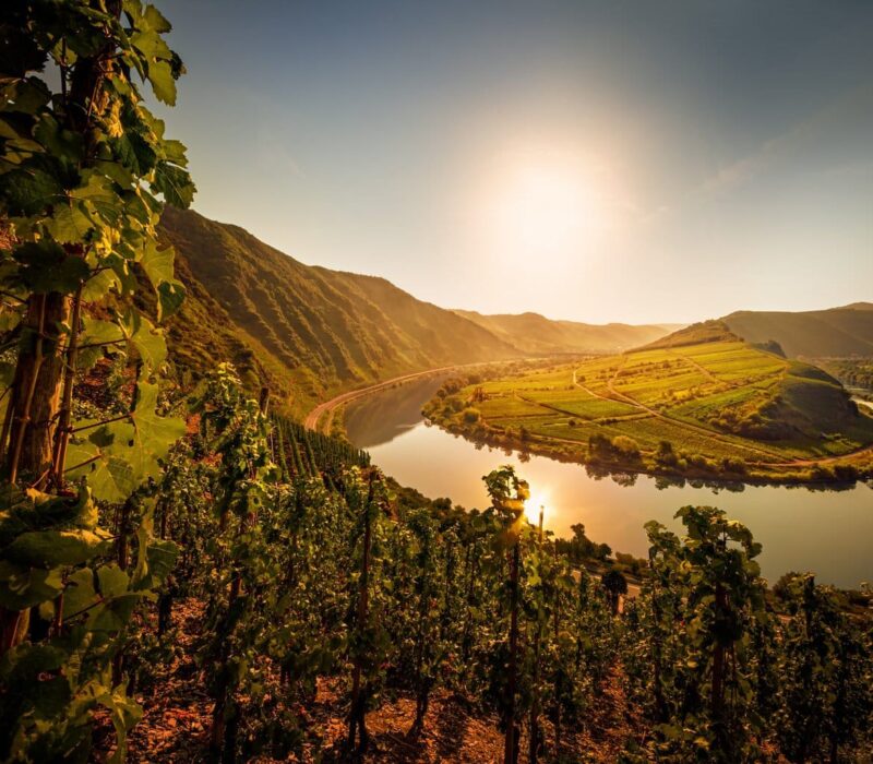 Moselschleife van de Calmont aan de Moezel
