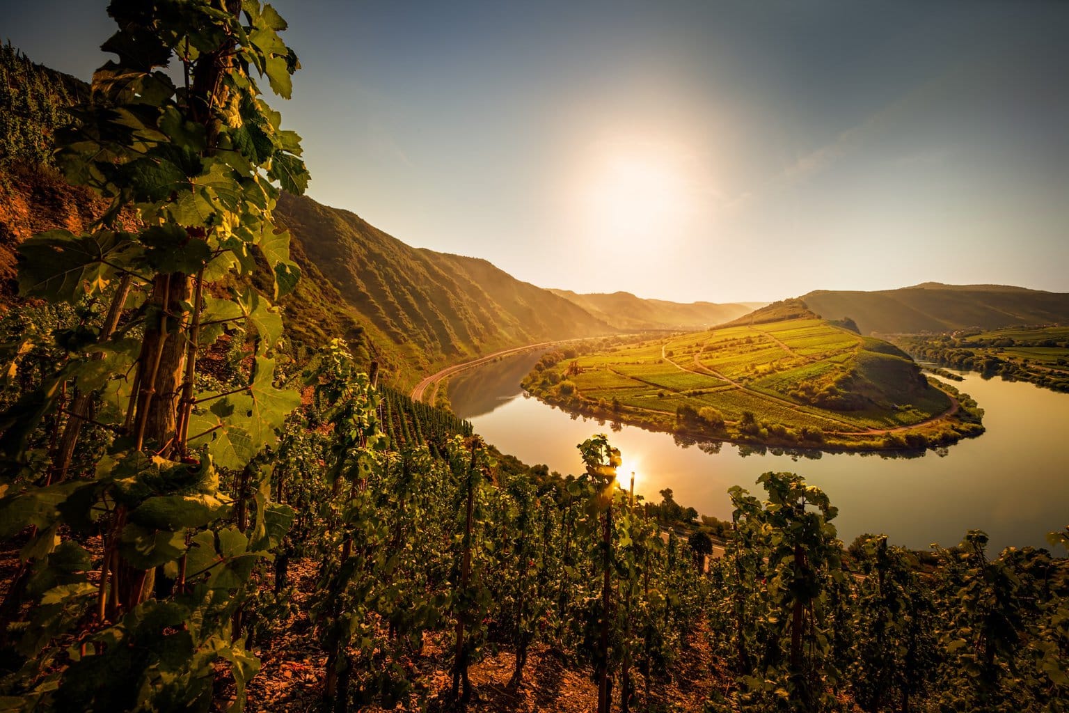 Moselschleife van de Calmont aan de Moezel