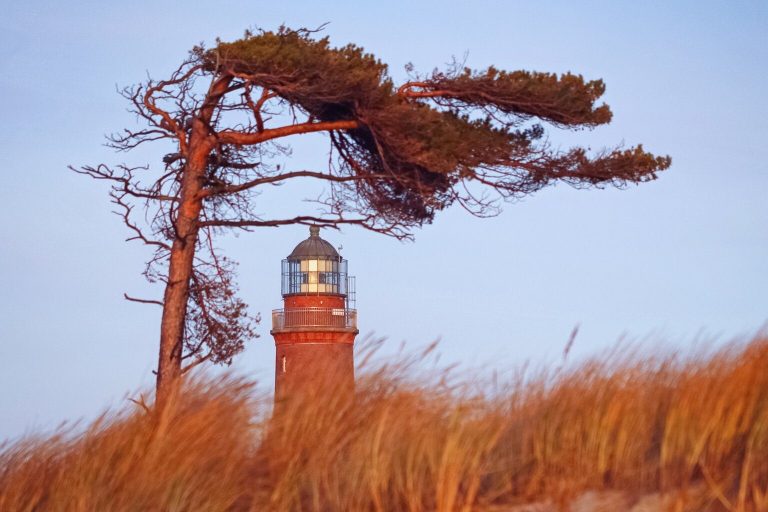 Het Natureum met een vuurtoren aan de Oostzeekust