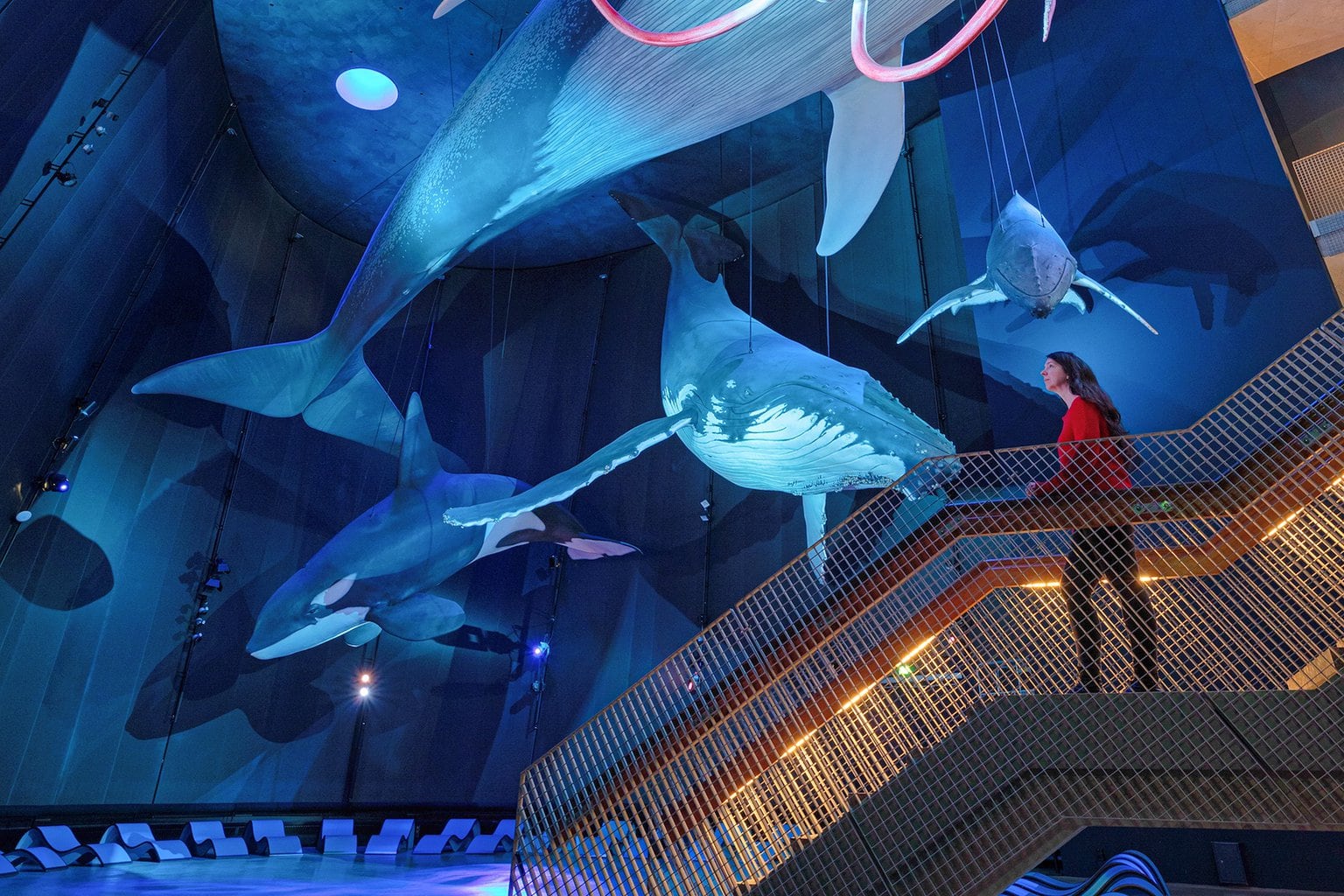 Toonstelling "Riesen der Meere" in het Ozeaneum aan de Oostzeekust