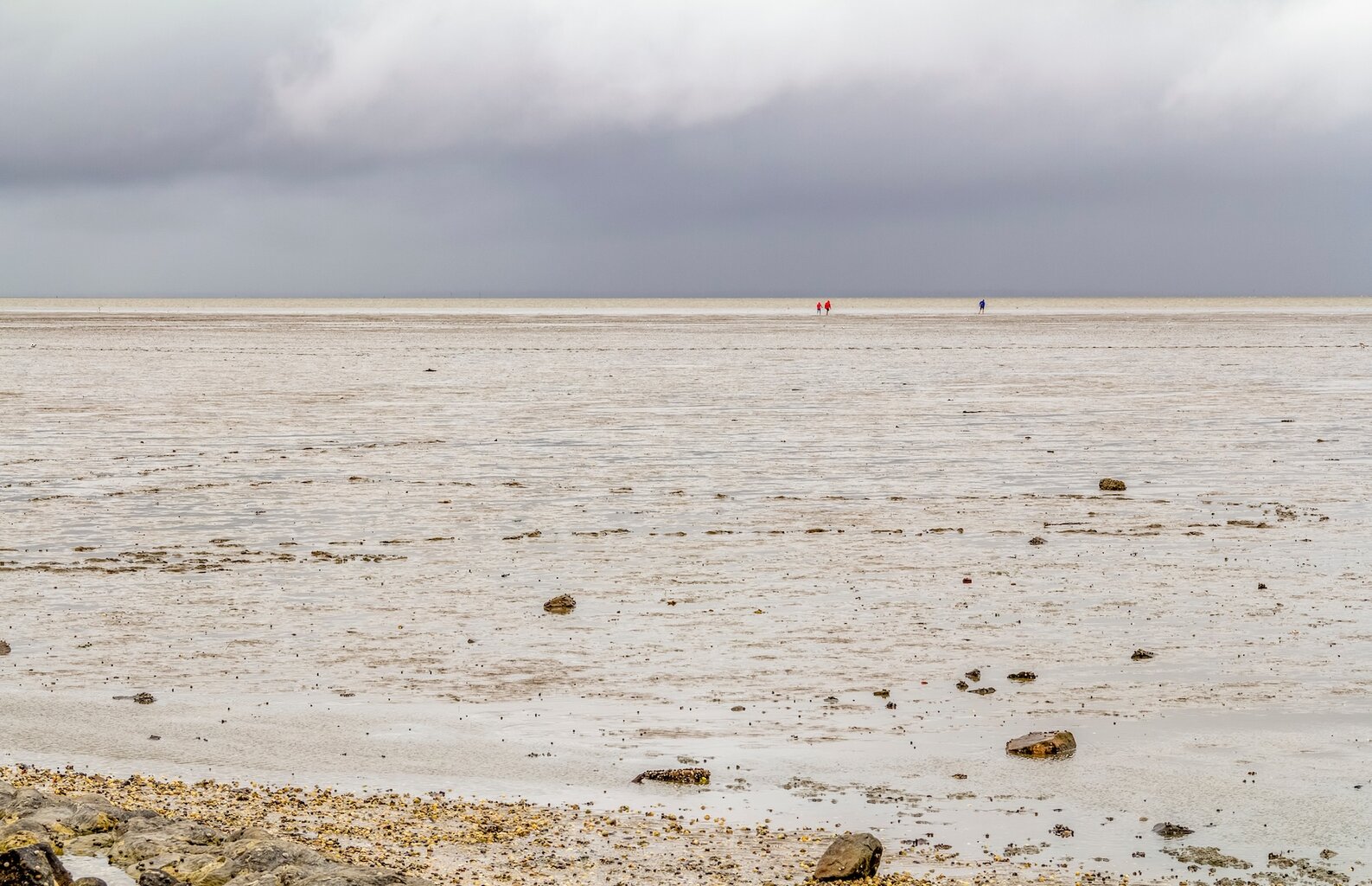 wadwandeling naar Carolinensiel in Oost-Friesland, Duitsland