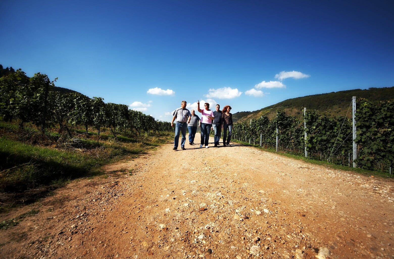 wandelen op de wijngaard in Cochem