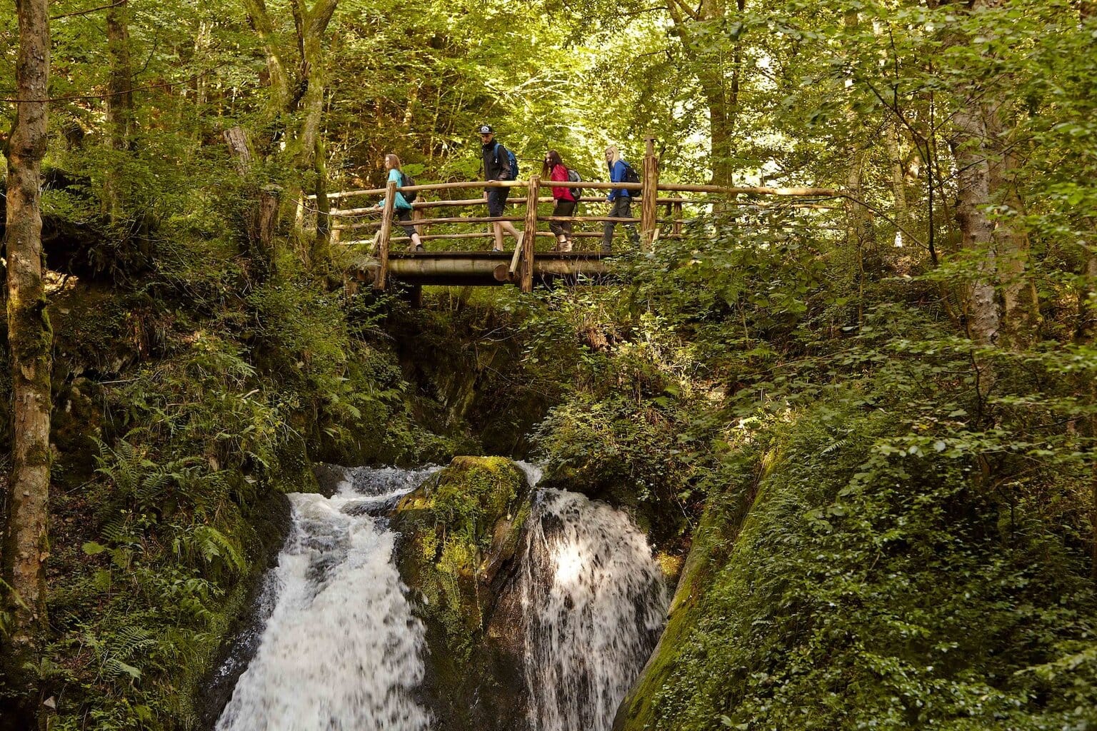 brug van de wandelpad Wilde Endert aan de Moezel