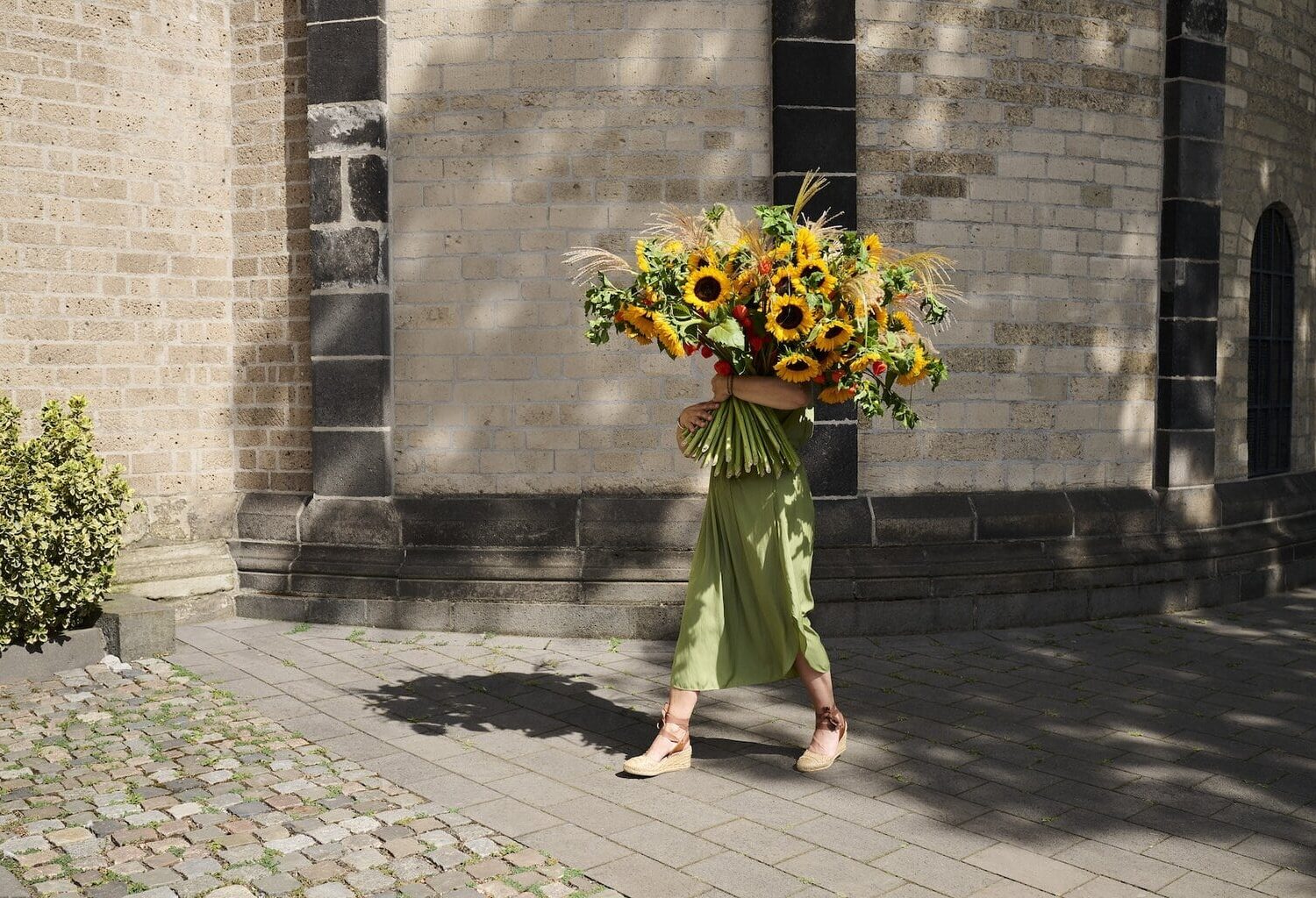 Zonnebloem van de Landesgartenschau