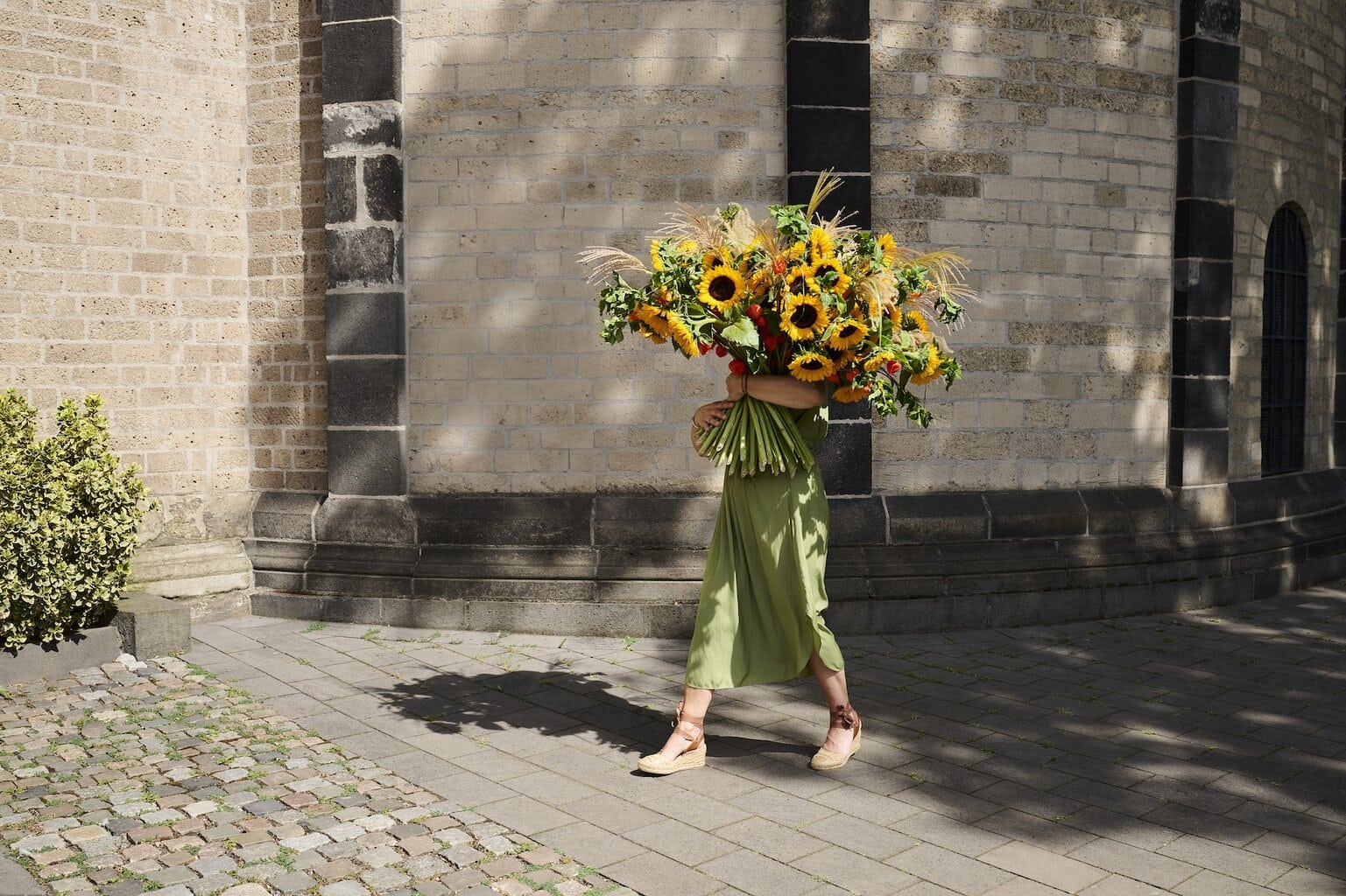 Zonnebloem van de Landesgartenschau