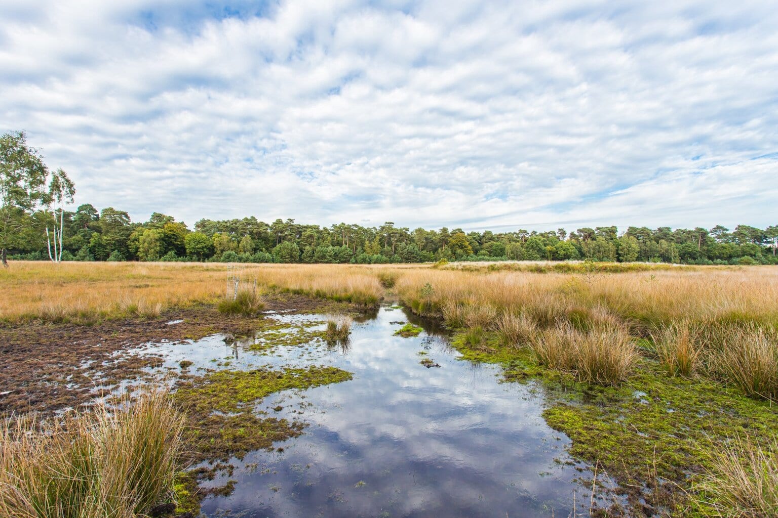 Natuurpark Hohe Mark bij de Diersfordter Wald