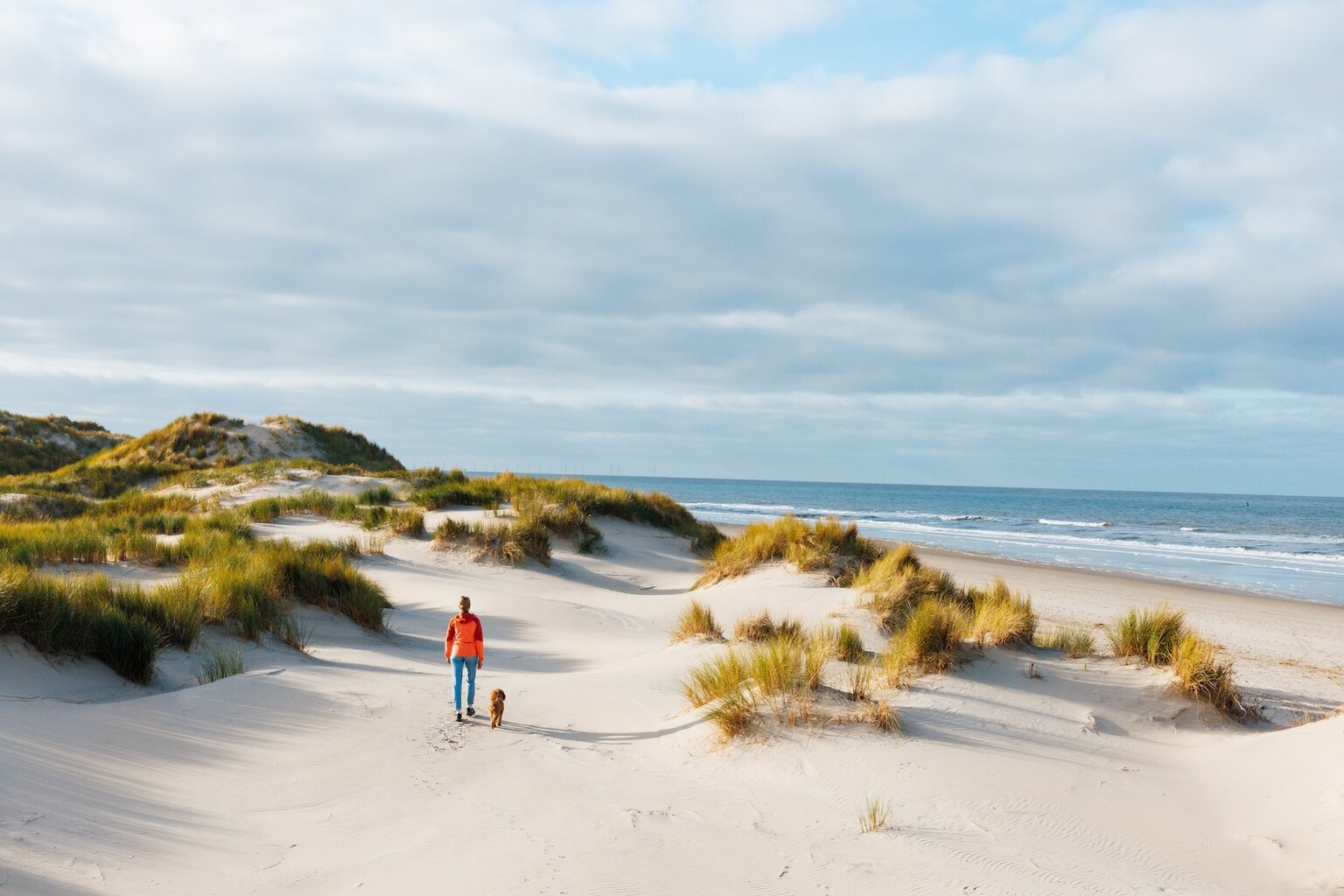 wandeling met hond op het strand