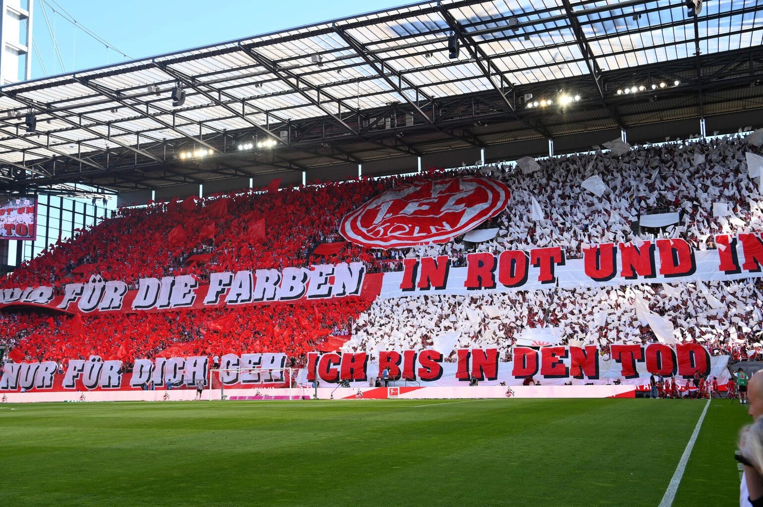 Fans in rood-witte kleuren zitten op een tribune in het RheinEnergie Stadion in Keulen. In het midden van de tribune op de bovenste ring staat het wapen van 1. FC Köln. Aan de tribunes hangen spandoeken in rood-wit waarop te lezen is: “... für die Farben in rot und in ... nur für dich geh ich bis in den Tod”, een deel van een lied. De tekst betekent: Alleen voor de kleuren rood en wit. Alleen voor jou ga ik tot in de dood.