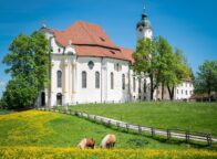 De Wieskirche staat tussen enkele bomen aan een weide waar paarden grazen.