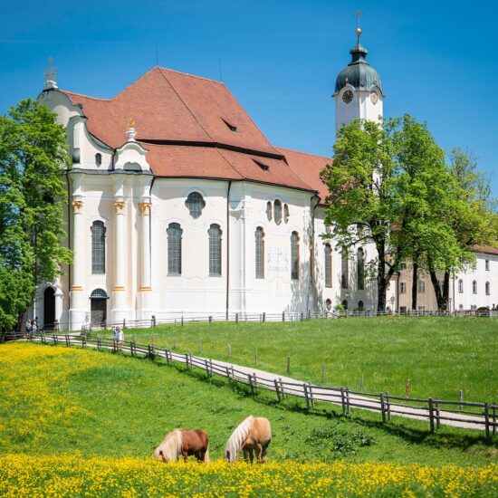 De Wieskirche staat tussen enkele bomen aan een weide waar paarden grazen.