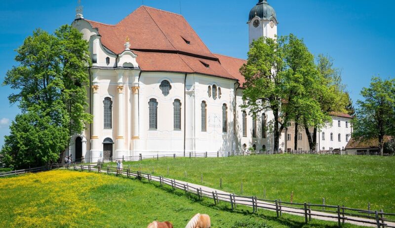 De Wieskirche staat tussen enkele bomen aan een weide waar paarden grazen.