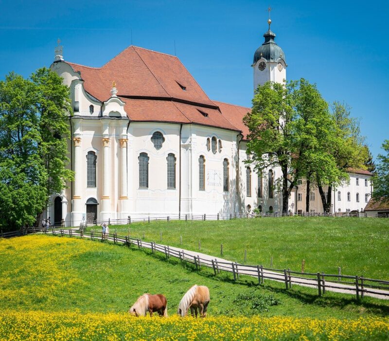De Wieskirche staat tussen enkele bomen aan een weide waar paarden grazen.