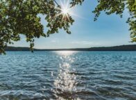Uitzicht door overhangend gebladerte op de Stechlinsee in Brandenburg, de zon staat als een ster tussen de takken en glinstert op het water, aan de horizon een beboste oever.