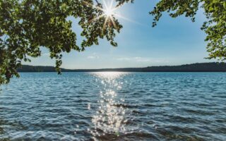 Uitzicht door overhangend gebladerte op de Stechlinsee in Brandenburg, de zon staat als een ster tussen de takken en glinstert op het water, aan de horizon een beboste oever.
