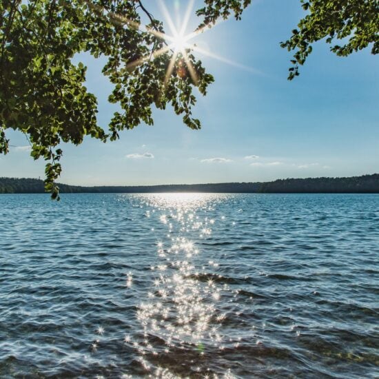 Uitzicht door overhangend gebladerte op de Stechlinsee in Brandenburg, de zon staat als een ster tussen de takken en glinstert op het water, aan de horizon een beboste oever.