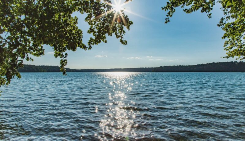 Uitzicht door overhangend gebladerte op de Stechlinsee in Brandenburg, de zon staat als een ster tussen de takken en glinstert op het water, aan de horizon een beboste oever.