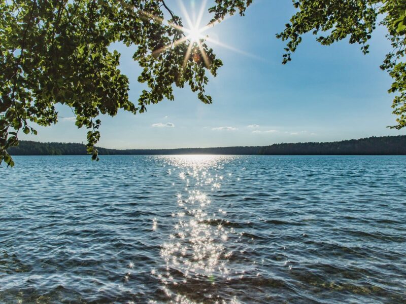 Uitzicht door overhangend gebladerte op de Stechlinsee in Brandenburg, de zon staat als een ster tussen de takken en glinstert op het water, aan de horizon een beboste oever.