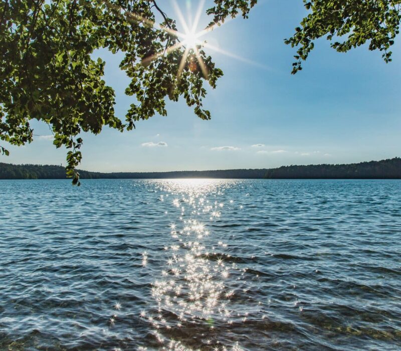 Uitzicht door overhangend gebladerte op de Stechlinsee in Brandenburg, de zon staat als een ster tussen de takken en glinstert op het water, aan de horizon een beboste oever.