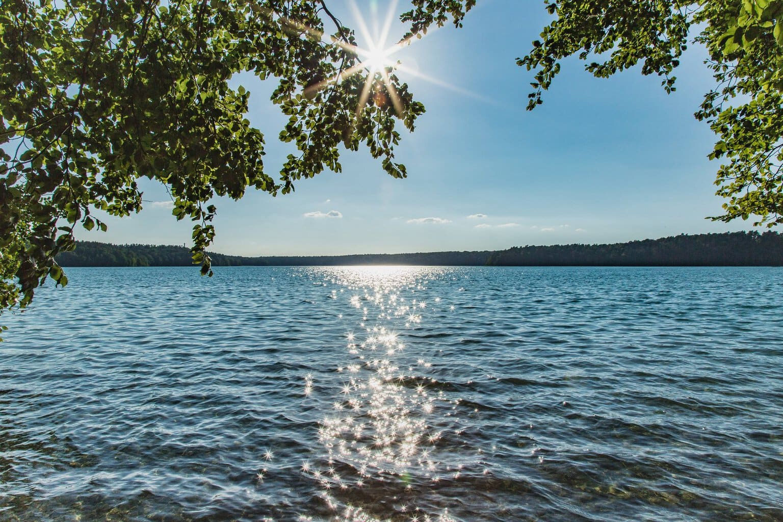 Uitzicht door overhangend gebladerte op de Stechlinsee in Brandenburg, de zon staat als een ster tussen de takken en glinstert op het water, aan de horizon een beboste oever.